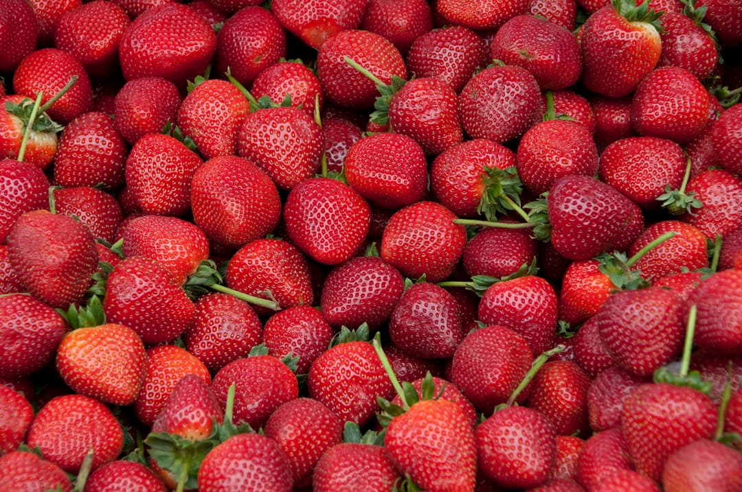 Fresh Strawberries